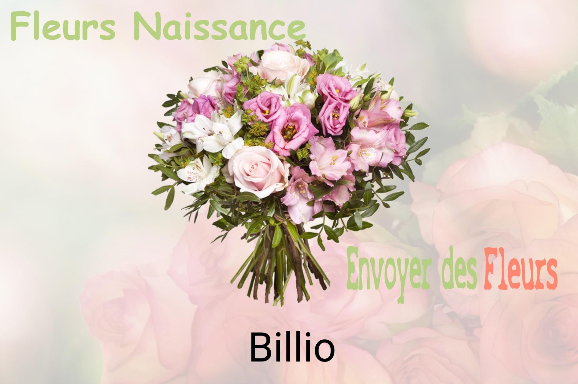 Bouquet de fleurs de naissance livré à Billio